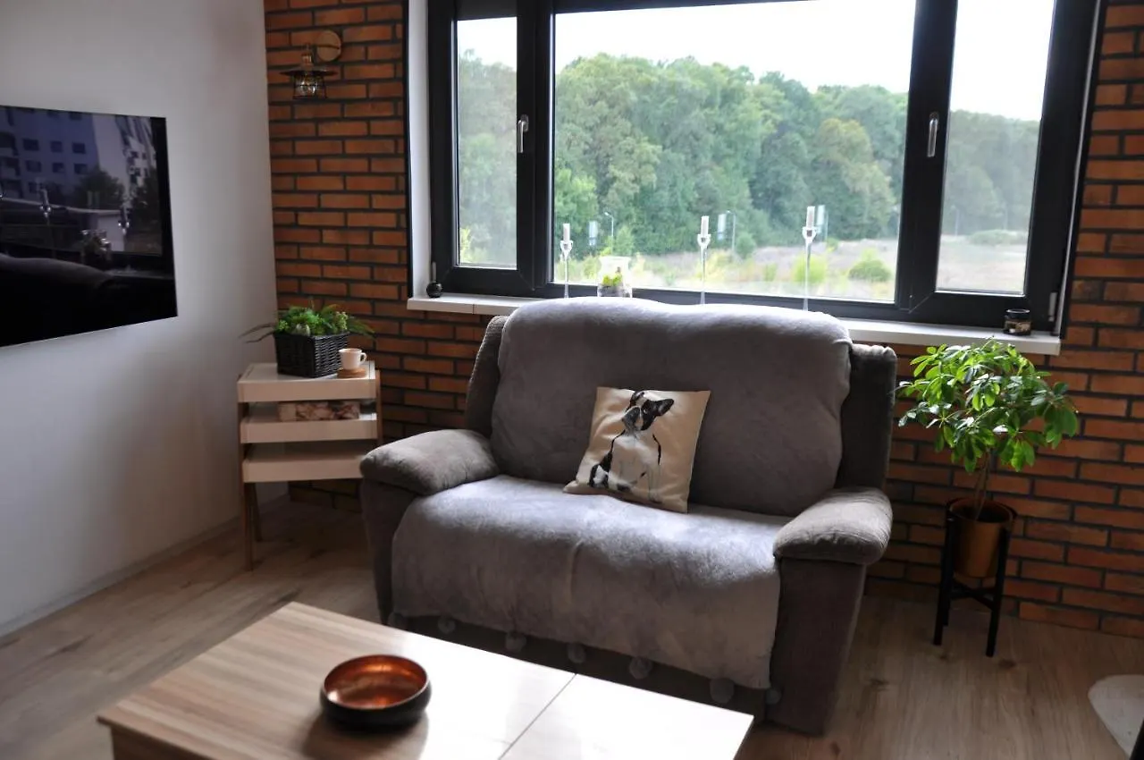 Forestview Dream Apartment Bucureşti România